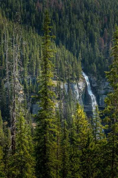 Bridal Viel Falls Flows Huntington Glacier Banff National Park Alberta —  Fotos de Stock