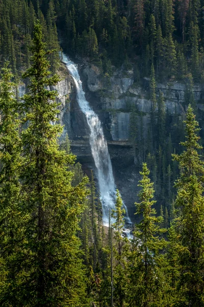 Bridal Viel Falls从加拿大艾伯塔省亨廷顿冰川国家公园流出 — 图库照片