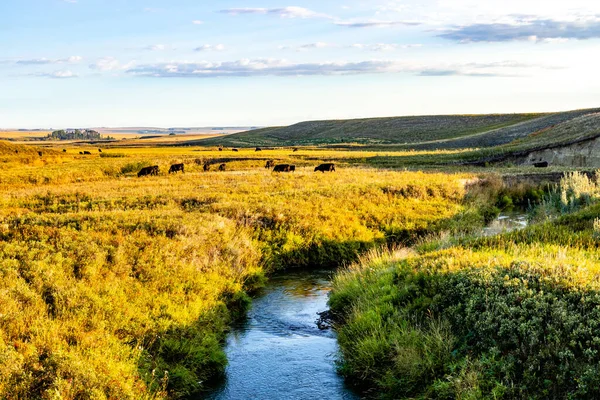 stock image Ponds, streams and fields during a drive through Wheatland County Alberta Canada