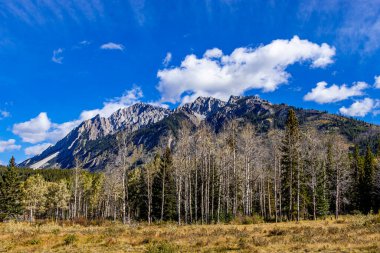 Hillsdale Meadows Banff Ulusal Parkı Alberta Kanada 'da sonbahar renkleri