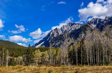 Fall colours at Hillsdale Meadows Banff National Park Alberta Canada