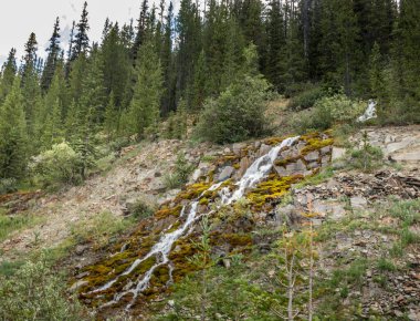 Yol kenarları karla kaplı dağlardan yükseliyor I ce Fields Parkway Banff Ulusal Parkı Alberta Kanada