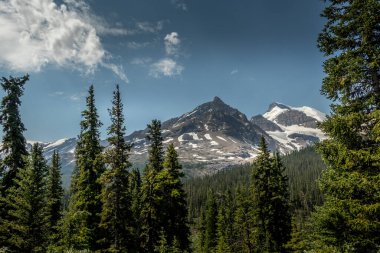 Kayalıklar gökyüzüne yükseliyor Buz Tarlaları Parkway Banff Ulusal Parkı Alberta Kanada