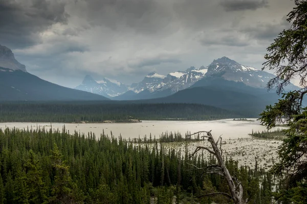 从加拿大艾伯塔省Howes Pass Lookout Banff国家公园可以看到 在萨斯喀彻温河的淤泥中 雨水和厚重的云彩搅动着淤泥 — 图库照片