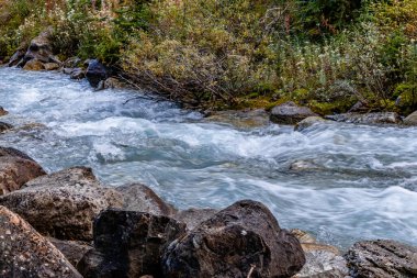 Louise Gölü çevresindeki dere ve ağaçlar Banff Ulusal Parkı Alberta Caanda
