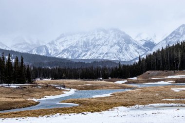 Minnewnaka döngüsü boyunca karlı kış yolculuğu. Banff Ulusal Parkı, Alberta, Kanada