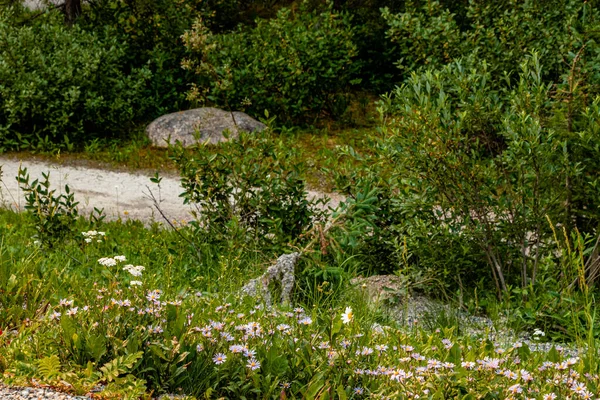 Louise Gölü boyunca bir gezinti Banff Ulusal Parkı Alberta Kanada