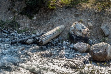 Sivrisinek deresi Banff Ulusal Parkı Alberta Kanada 'dan kayaların ve kütüklerin üzerinden sular akıyor.