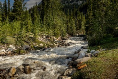 Rampart Deresi kayaların ve diğer nesnelerin üzerinde yuvarlanıyor. Banff Ulusal Parkı Alberta Kanada