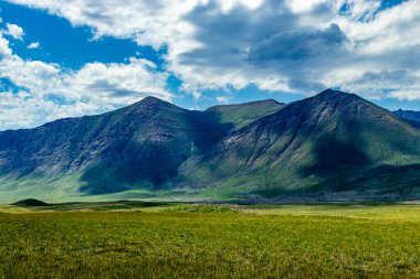 Bison Döngüsü Waterton Gölleri Ulusal Parkı Alberta Kanada