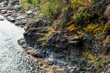 Blakiston Deresi Waterton Gölleri Ulusal Parkı Alberta Kanada