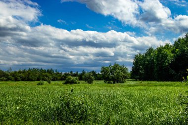 Yol kenarından Elk Adası Ulusal Parkı Alberta Kanada