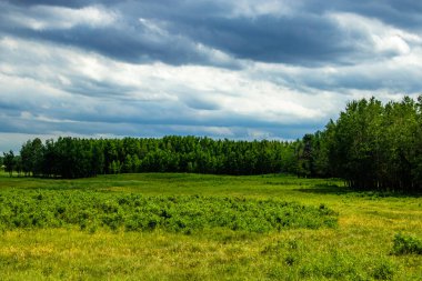 Yol kenarından Elk Adası Ulusal Parkı Alberta Kanada