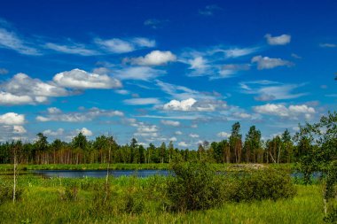 Yol kenarından Elk Adası Ulusal Parkı Alberta Kanada