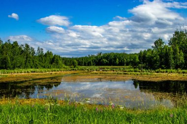 Yol kenarından Elk Adası Ulusal Parkı Alberta Kanada