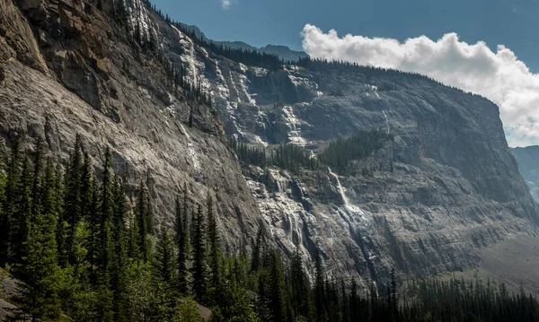 从加拿大艾伯塔省的Cirrus Mountain Weeping Wall Banff国家公园上落下来的瀑布 图库照片