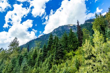 Yol kenarındaki HWY 1 Buzul Ulusal Parkı İngiliz Kolombiyası Kanada