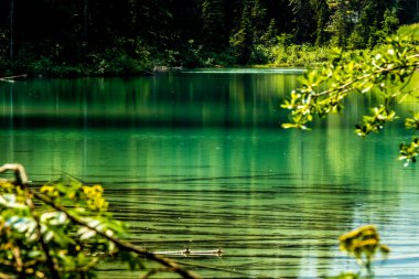 Olive Lake Kootenay Ulusal Parkı İngiliz Kolombiyası Kanada