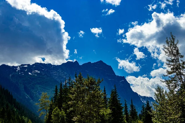 Yol kenarındaki HWY 1 Buzul Ulusal Parkı İngiliz Kolombiyası Kanada