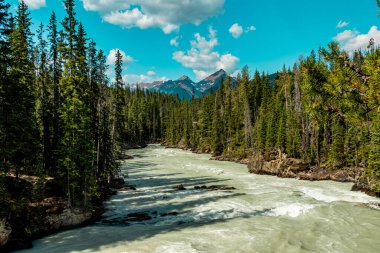 Turbulant At Nehri Tekmeliyor Yoho Ulusal Parkı İngiliz Kolombiyası Kanada