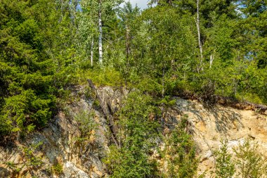 Sky Pkwy Ulusal Parkı, British Columbia, Kanada 'da Meadows boyunca bir gezinti.,