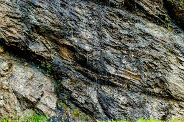 Hwy 1 Mount Revelstoke Ulusal Parkı İngiliz Kolombiyası Kanada