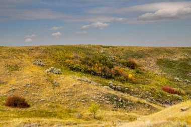 Çorak Topraklar 'da ve tüm renklerde sıraya girin. Midland İl Parkı, Alberta, Kanada