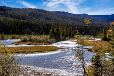 Sonbahar renkleri Alymer İl Rekreasyon Bölgesi Clearwater County Alberta Kanada