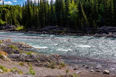 Koyun Nehri şelaleye doğru gidiyor. Koyun Nehri İl Parkı. Alberta, Kanada