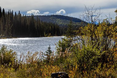 Sonbahar renkleri Kunduzdam İl Rekreasyon Bölgesi Clearwater County Alberta Kanada