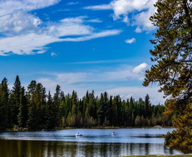 Phyliss Gölü İl Rekreasyon Alanı Alberta Kanada 'da dinlenme ve ağaçlar