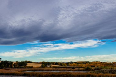 Foothills County Alberta Canada 'dan geçen sonbahar renkleri