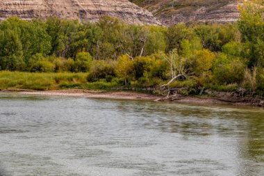 Kızıl Geyik nehri boyunca Çorak Topraklar. Rosedale, Alberta, Kanada