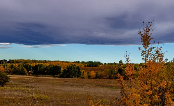 Herbstfarben Auf Der Fahrt Durch Foothills County Alberta Kanada — Stockfoto