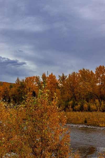 Turner Valley Foothills County Alberta Canada Sonbahar Renkleri — Stok fotoğraf