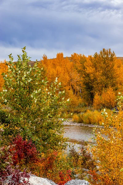 加拿大艾伯塔省特纳山谷山麓镇的秋天色彩 — 图库照片