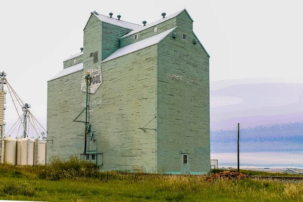 Les Magnifiques Géants Bois Des Prairies Certains Sont Encore Debout — Photo