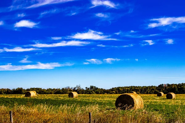 Sacco Cieli Blu Stagni Campi Agricoltori Drive Attraverso Lacombe County — Foto Stock