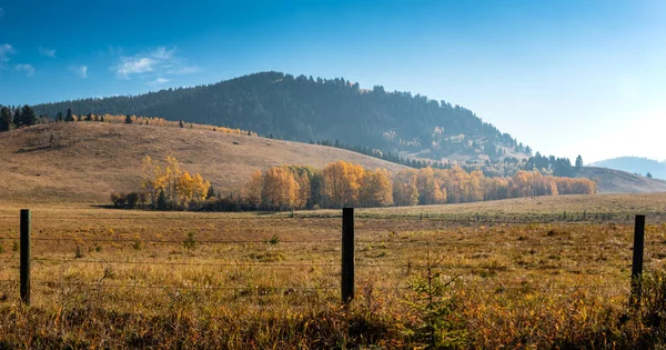 Kolory Jesieni Polach Uprawnych Big Horn Alberta Kanada — Zdjęcie stockowe