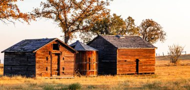 Sabahın erken saatlerinde, Kanada, Alberta, Willow Creek 'teki Hamlet of Woodhouse' da.