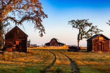 Sabahın erken saatlerinde, Kanada, Alberta, Willow Creek 'teki Hamlet of Woodhouse' da.