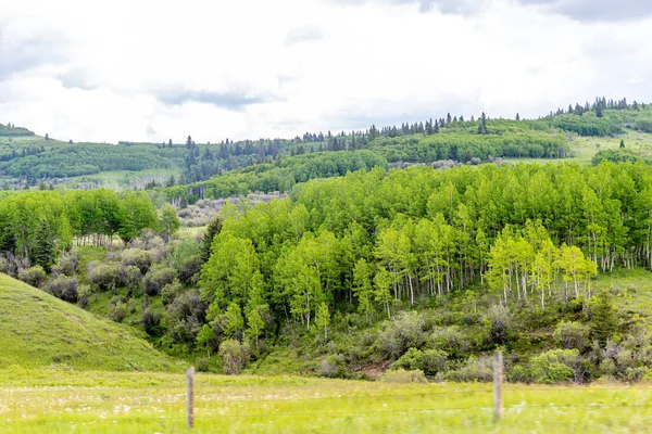 Зеленые Поля Пруды Над Разбросанным Небом Стране Willow Creek Альберта — стоковое фото