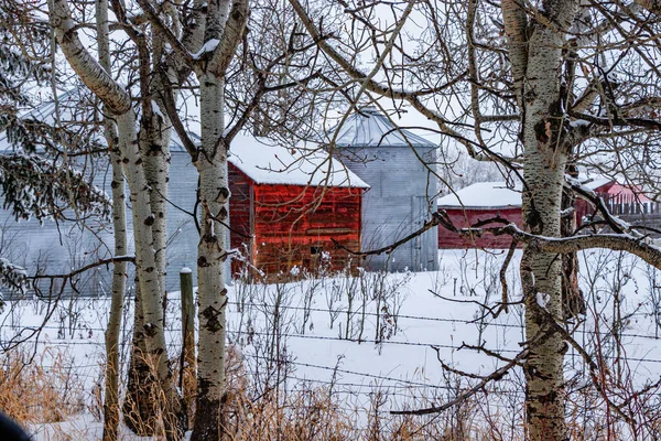 山の眺めの浜丹の村の冬のドライブ — ストック写真