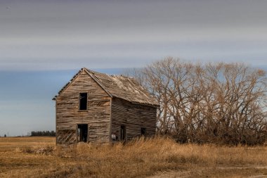 Terk edilmiş ve yıkılmış çiftlik binaları İndus Alberta Kanada