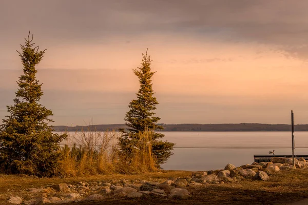 シルバン湖の上にガチョウと早春のシルバン湖アルバータ州カナダ — ストック写真