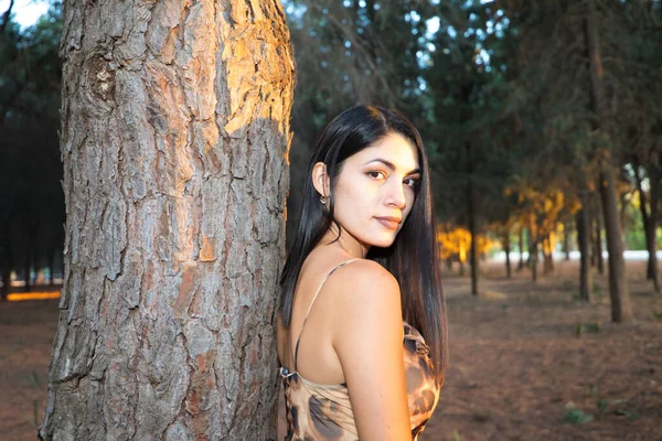 金光闪闪的时刻 来自南美洲的美丽的年轻女子依偎在森林的一棵树上 秋天的阳光穿过树木 营造出一种金色的氛围 — 图库照片