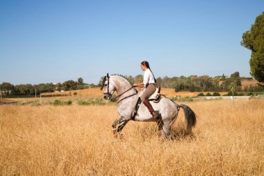 Young, beautiful Spanish woman on a brown horse in the countryside. The horse raises its front legs. She is doing dressage exercises. Thoroughbred and equine concept.