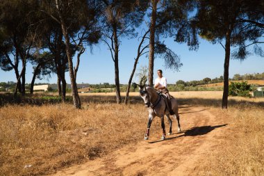 Young and beautiful Spanish woman on a Thrush horse galloping through the countryside in Spain. The woman is wearing a horse riding uniform. Thoroughbred and equine concept.