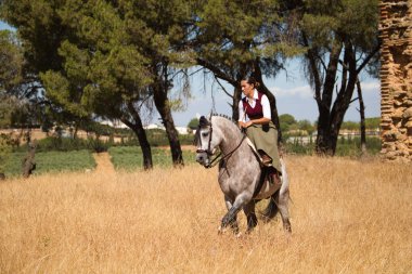 Young, beautiful Spanish woman on a brown horse in the countryside. The horse raises its front legs. She is doing dressage exercises. Thoroughbred and equine concept.