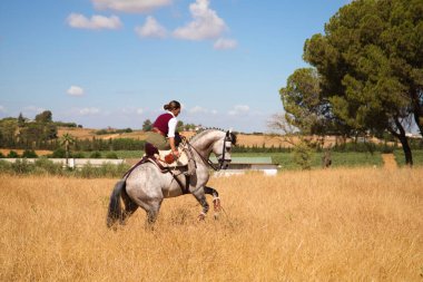 Young, beautiful Spanish woman on a brown horse in the countryside. The horse raises its front legs. She is doing dressage exercises. Thoroughbred and equine concept.